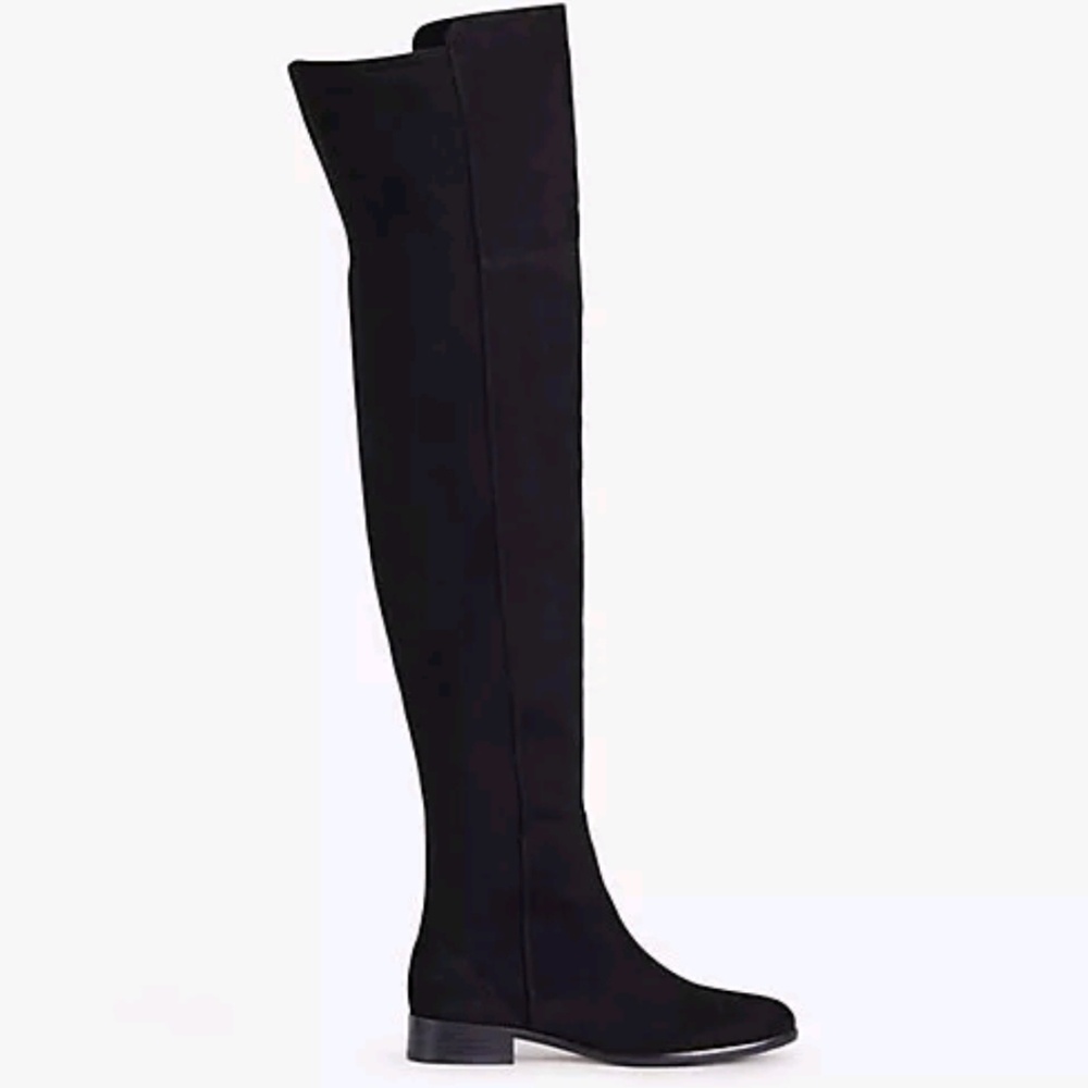 Ann Taylor over the micro suede Amaris boots